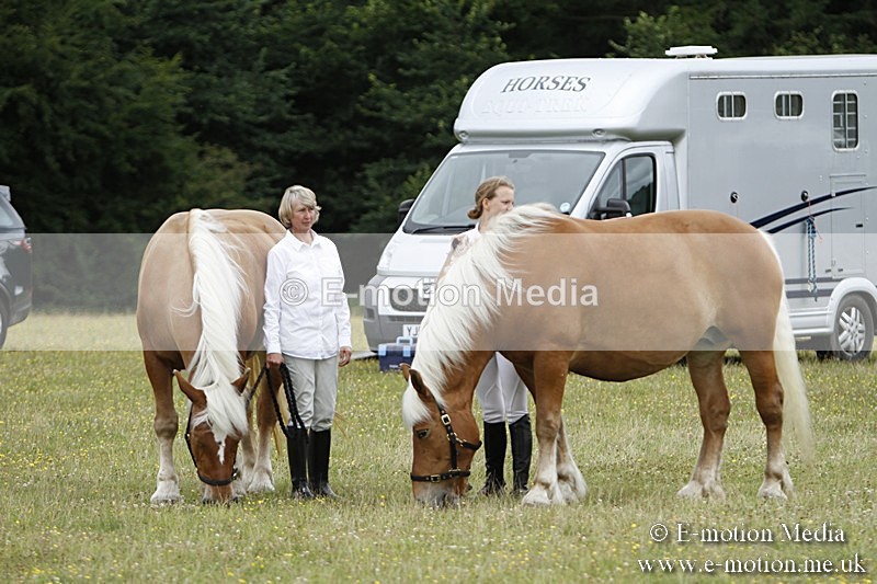 BVR160717-1279 - Caught on Camera 16/07/17