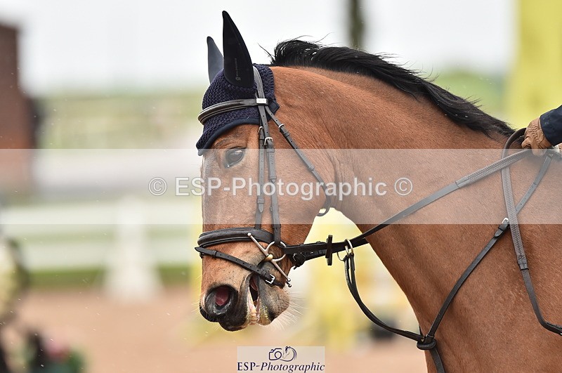 230331A-121108-00740 - Cls 9 95cm Amateur Quali