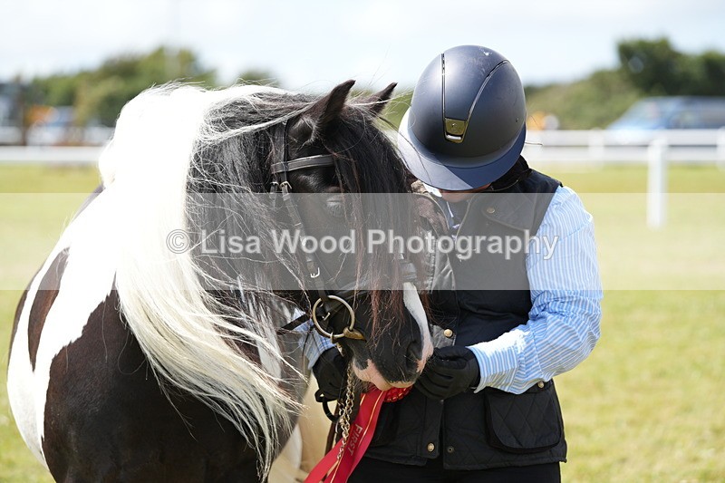 DSC06958 - Class 60: Coloured Pony 4yrs & over