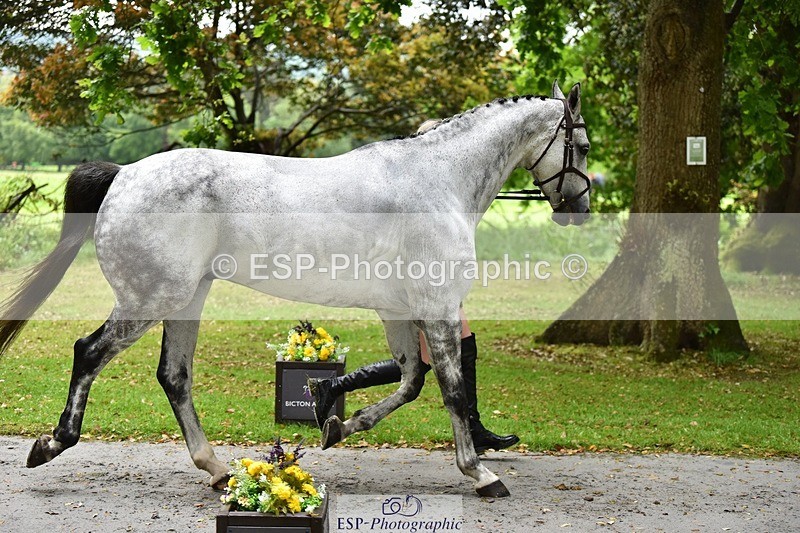 240522-152332-00306 - 327-COR_Y_TARAN-Toots_Bartlett