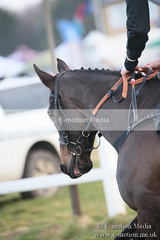 PtP 170219 -708 - Combined Services Point-To-Point Larkhill 17/02/19