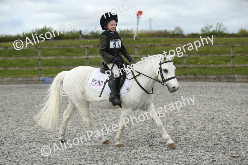 20260412-0717 - Show Jumping