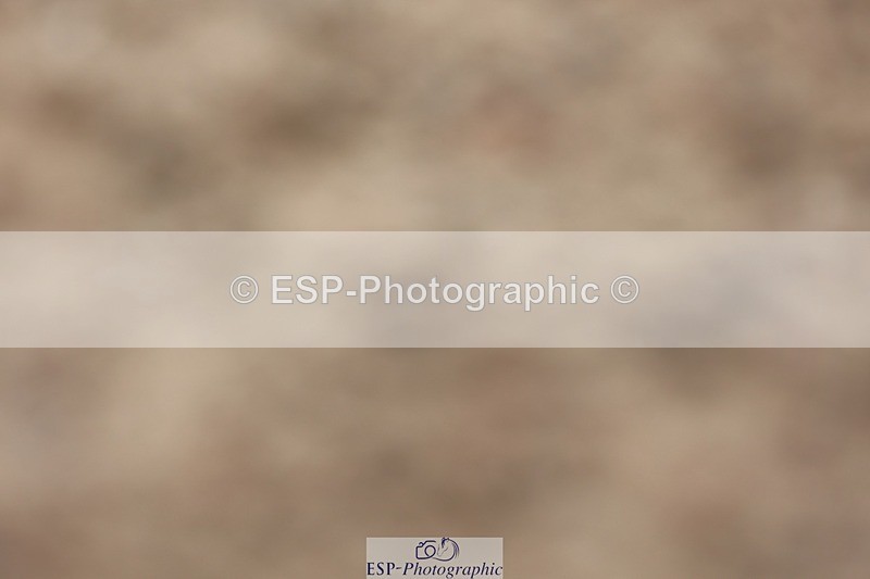 250621-115140-08860 - Cls 37 - Freestyle Adv Medium