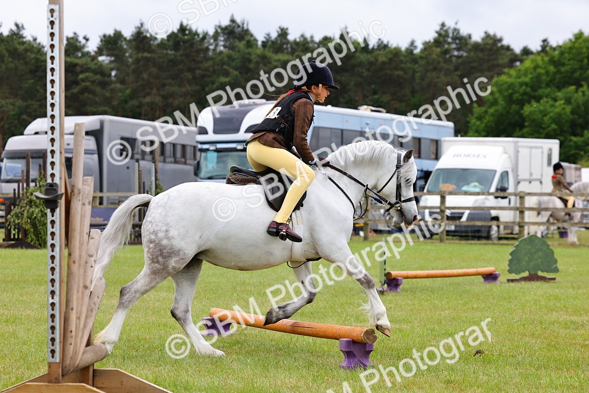 SBM_08703 - Class 42-43 - LIHS BSPS Heritage Working Sports Pony