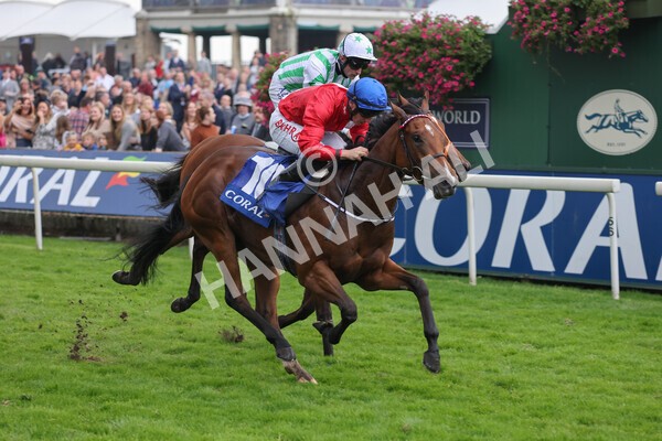 yr09102021r2-18 - Race 2 2.02pm Coral Beaten-By-A-Length Free Bet Rockingham Stakes