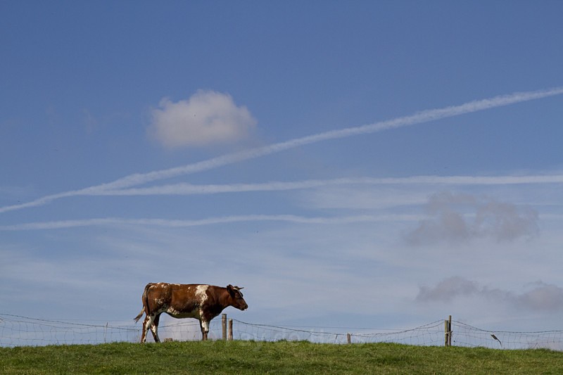  - Schiphol Skies