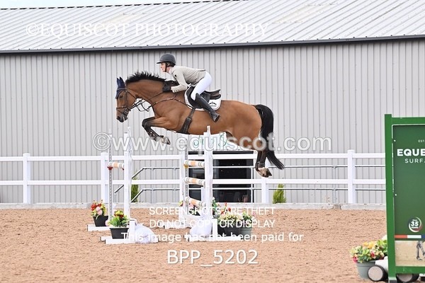 BPP_5202 - CLASS 8 THURS HOYS GFS Saddles Senior Newcomers Second Round