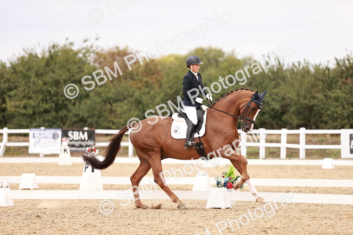 SBM_019273 - Class 20 - Medium 5