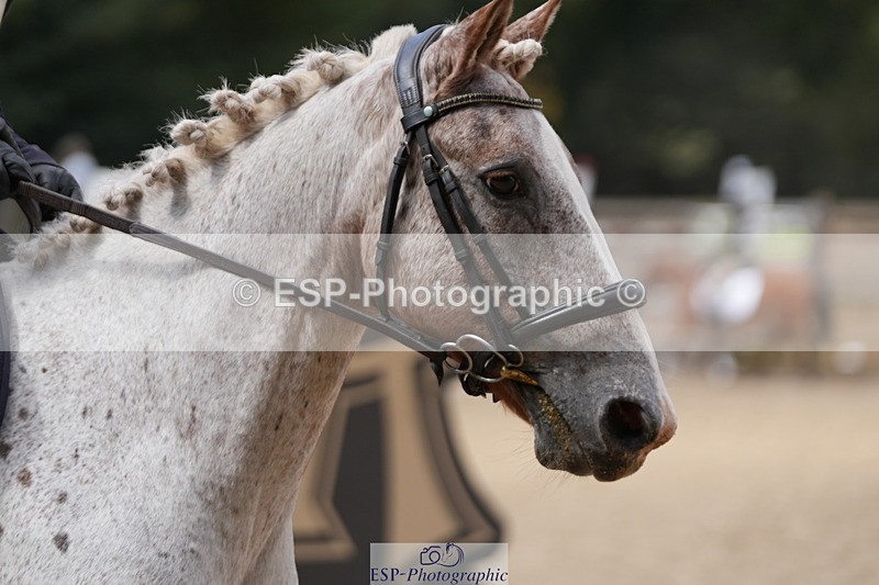 250822A-115857-21231_WC Round 2 1110 to 1220 - 079-737-5823