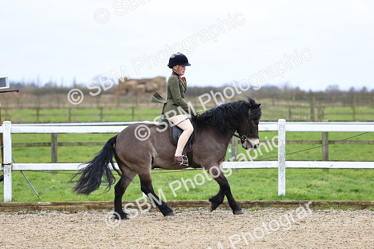 SBM_006764 - Class 29 - 30 - M&M Pure Novice Small-Large Breeds