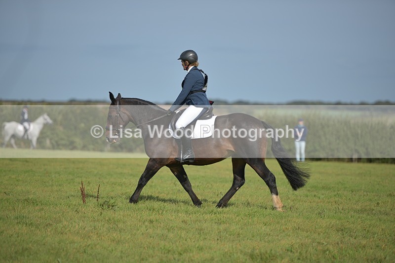 RAY_7770 - Class 2B: Trekenning Open: Dressage
