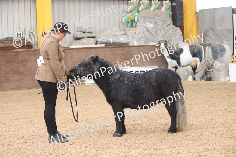 20251109-0034 - Class 3 - 2 and 3 Year Old