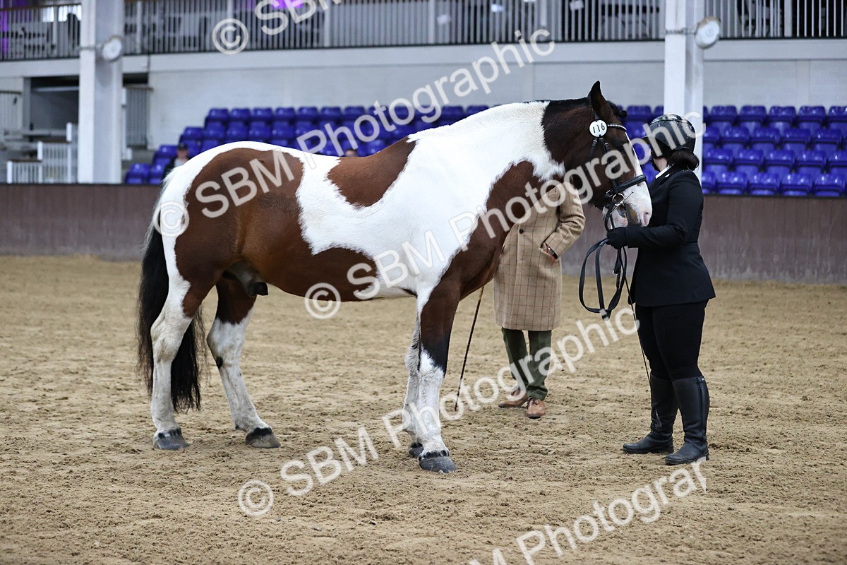 SBM_5288 - Class 32 - In Hand Cob Type