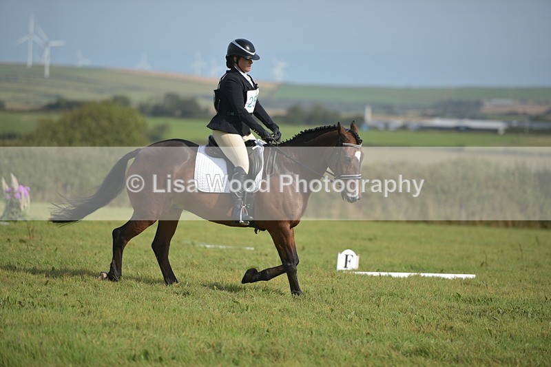 RAY_7750 - Class 2B: Trekenning Open: Dressage