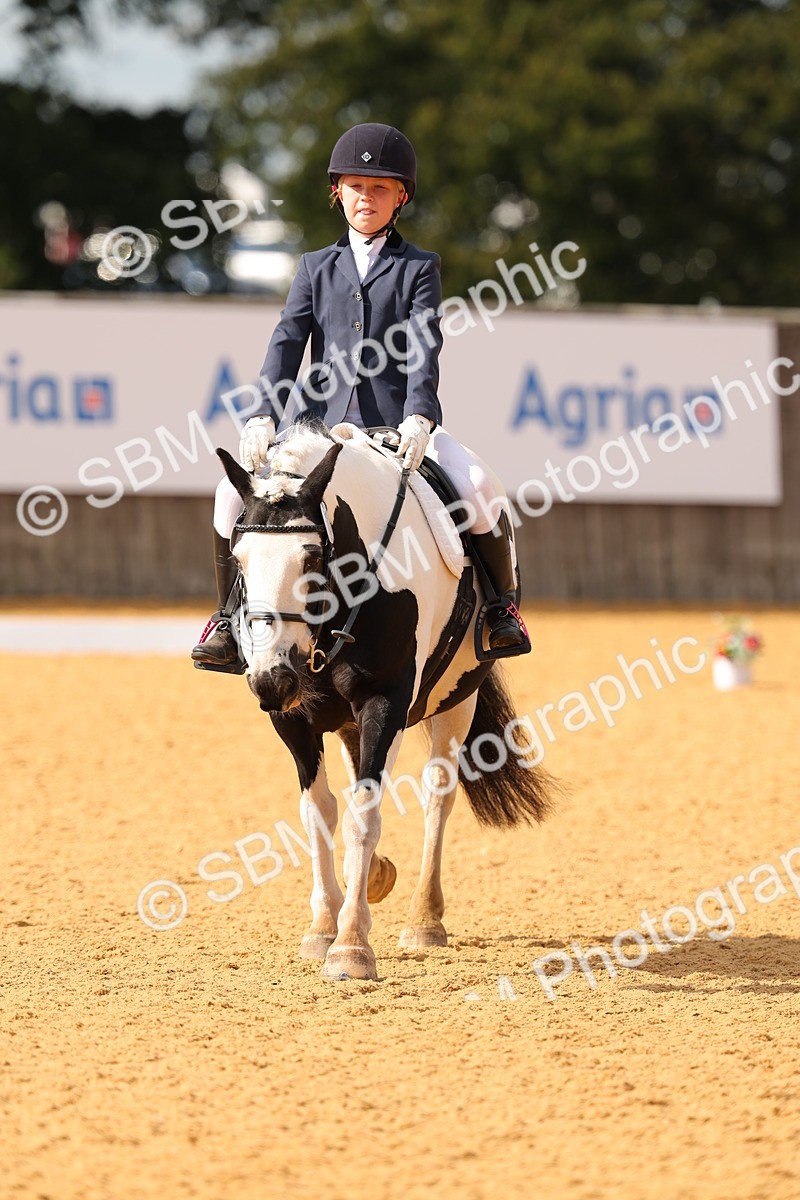 SBM_48296 - D22 - Junior Championship - Intro B