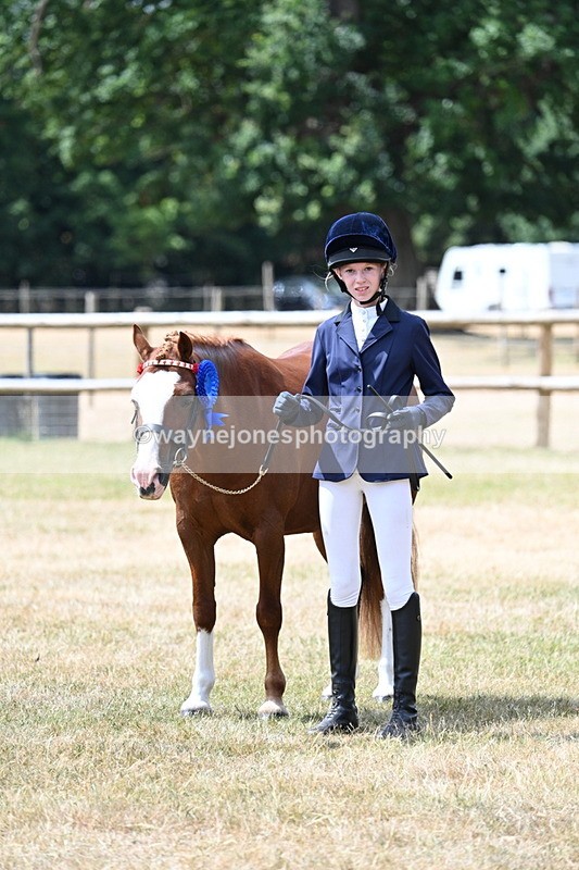 WJ7_1748 - Class 4 Prettiest Mare up to 14.2hh in hand