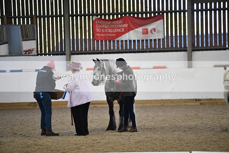 WJ5_5564 - Class 4 In hand M&M - small breeds