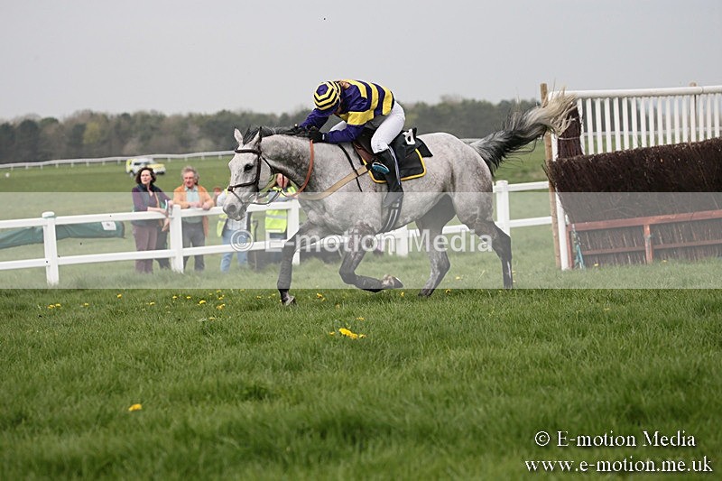 PtP 210418 289 - South & West Wilts Point-to-Point Larkhill 21/04/18