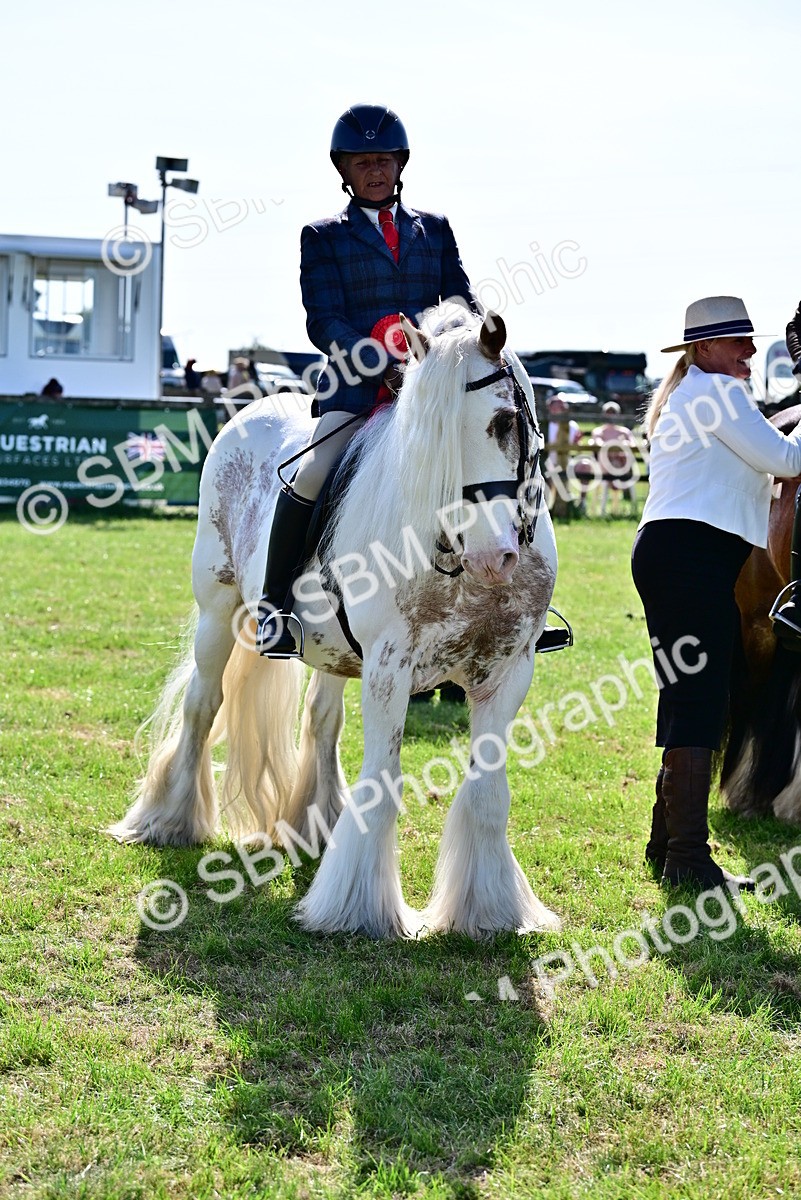 SBM_09420 - Class 63-65 - Traditional Gypsy Cobs In Hand & Ridden