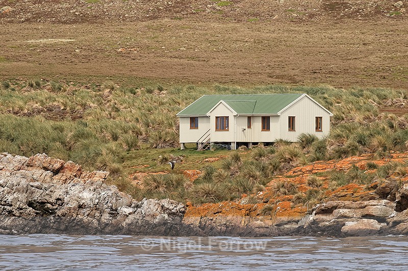 Accommodation on Steeple Jason, Falklands - Falkland Islands