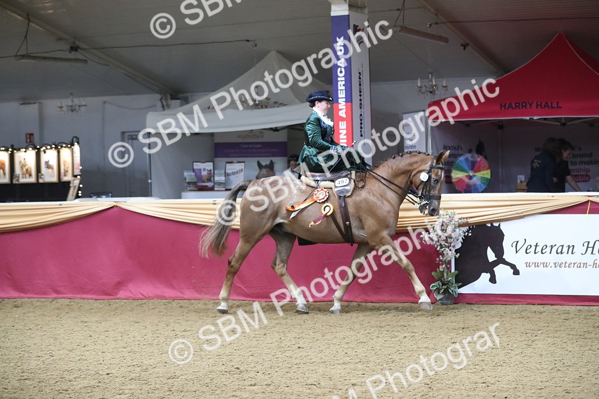 SBM_11643 - Class 105 Ridden Costume- Side Saddle