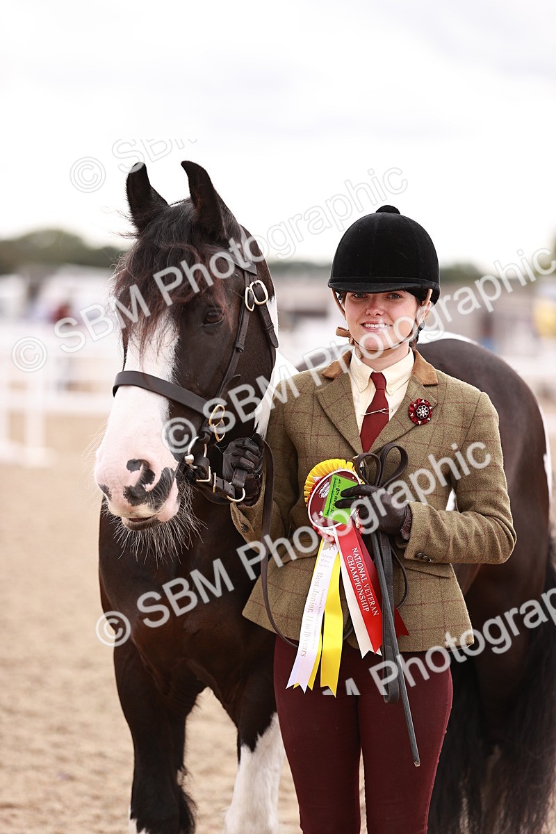 SBM_18507 - Class 420 - Ridden M&M