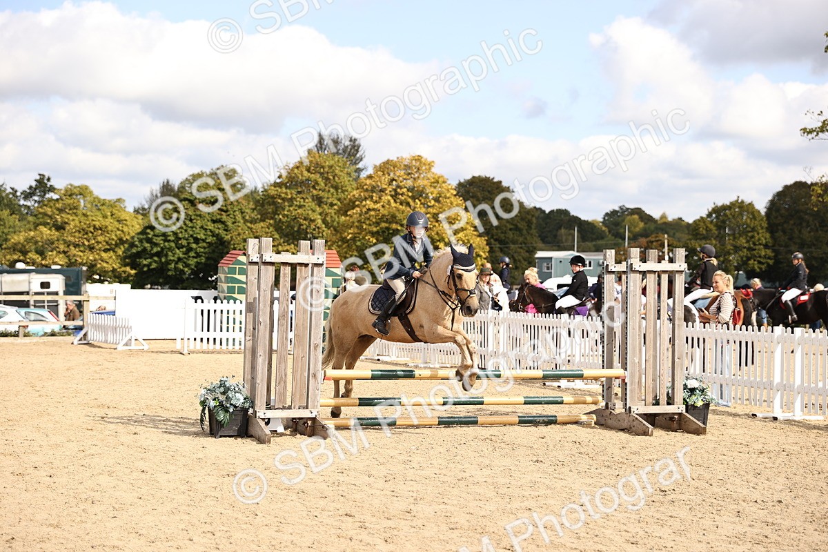 SBM_63789 - J12 - Junior Pony 55cm Championship