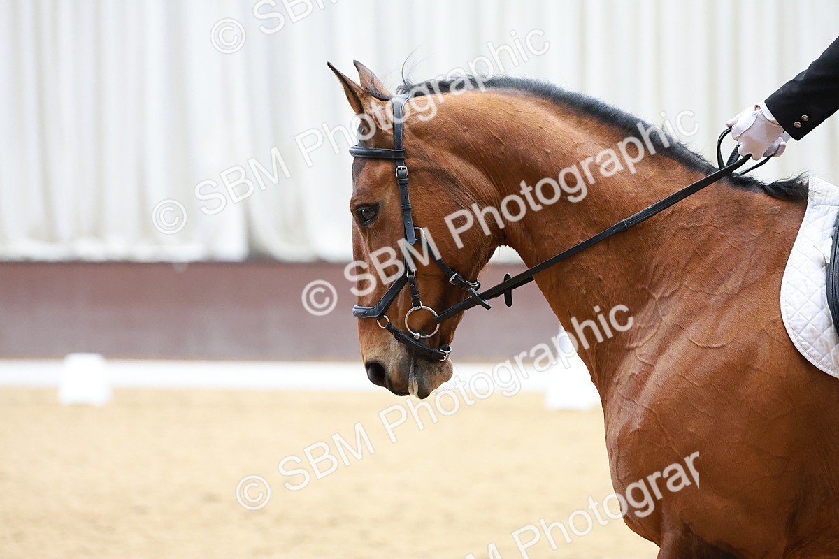 SBM_001176 - Class 5 - Novice 1