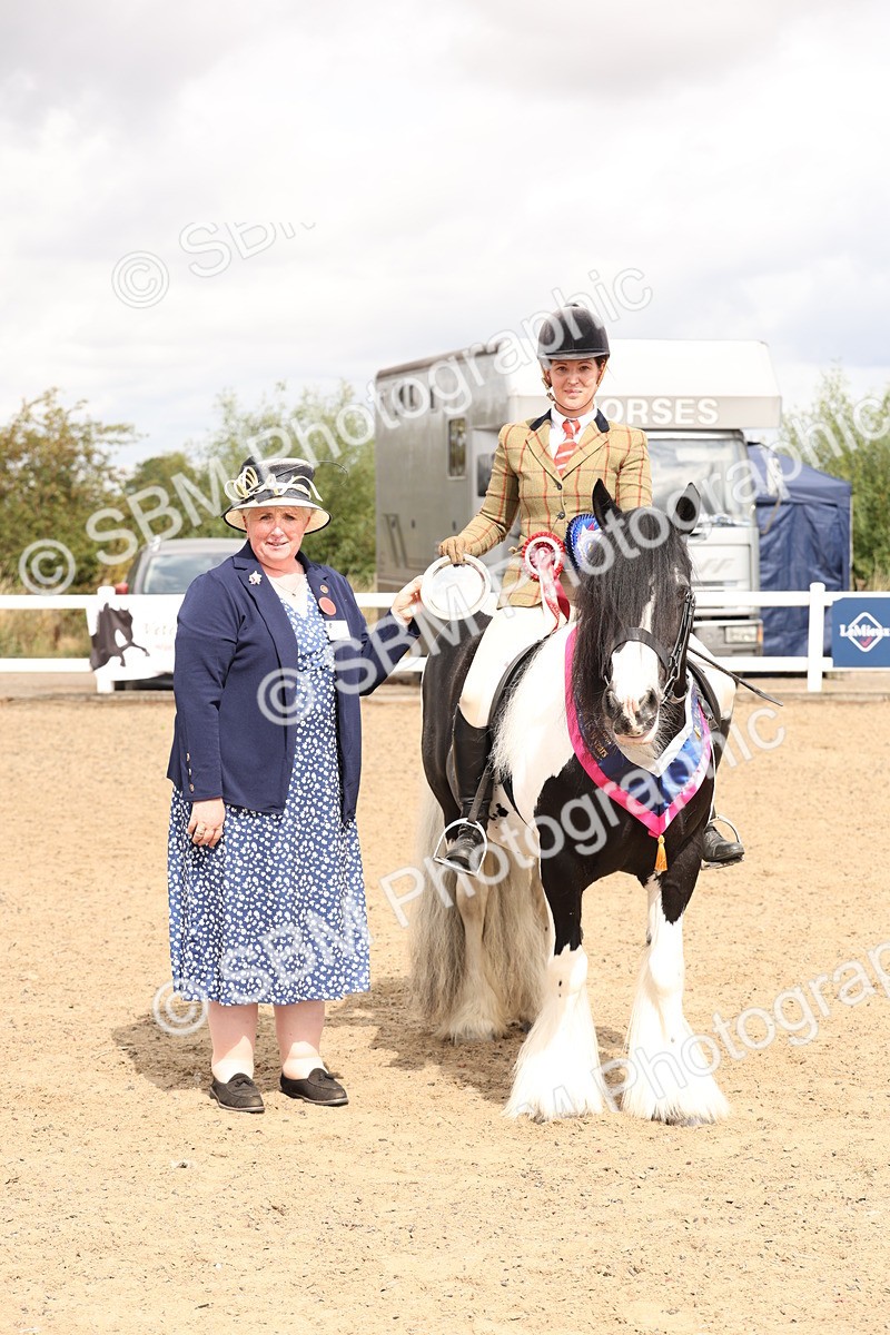 SBM_05174 - Class 56a -  Style & Performance - 50cm (15-19)