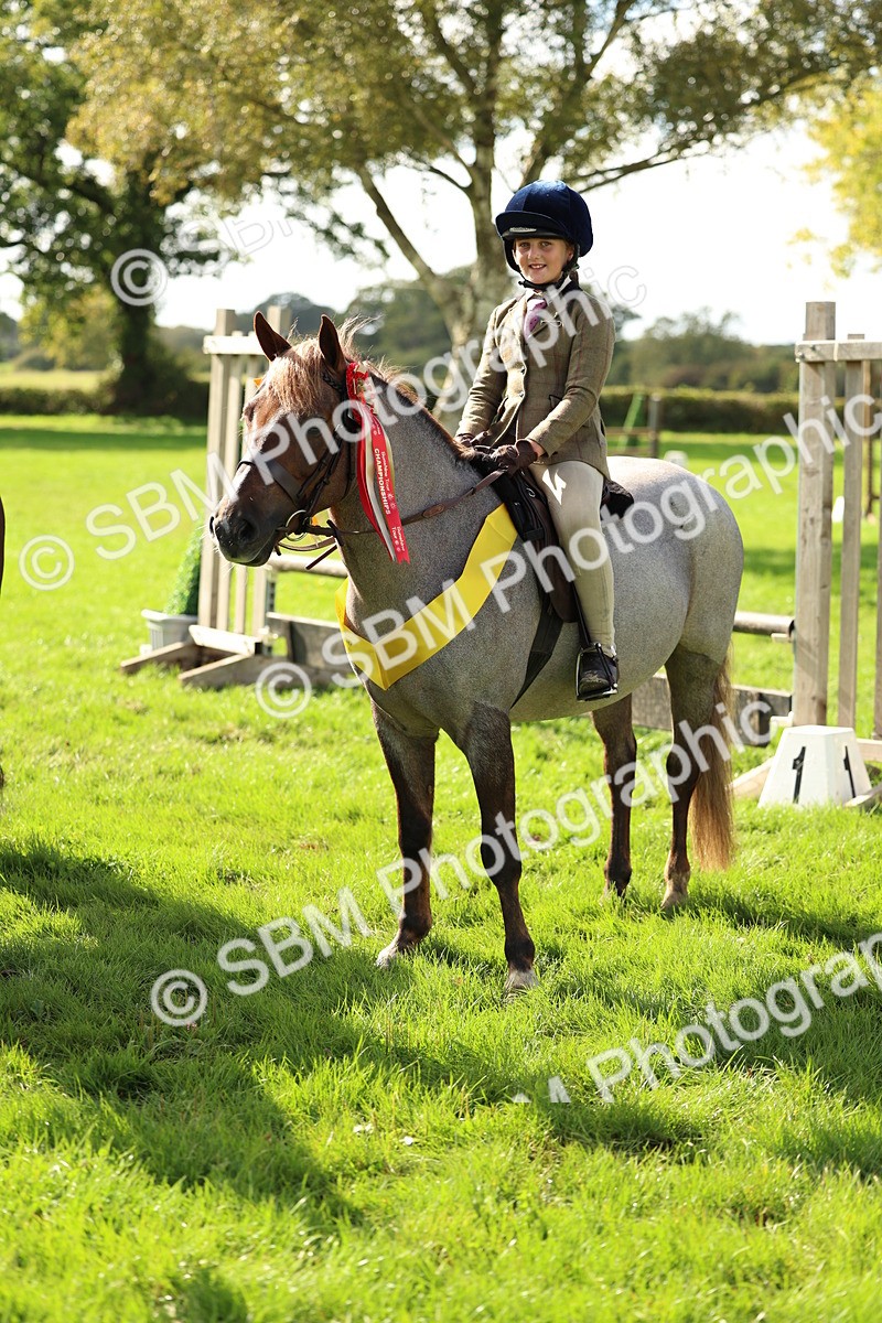 SBM_46412 - Working Hunter Pony Supreme Championship