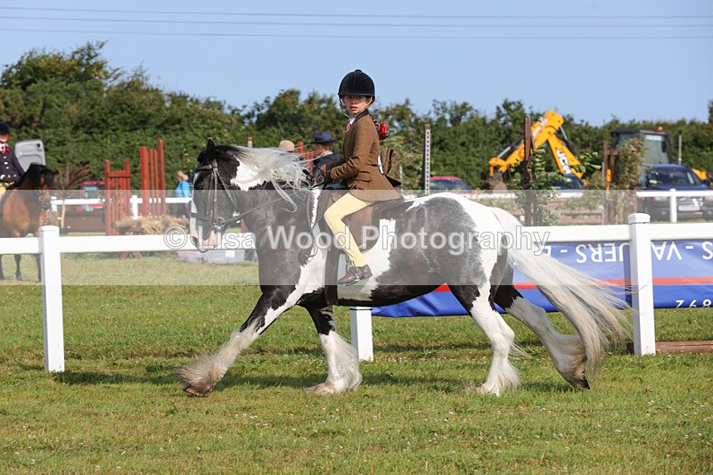 1X9A3277 - Class 28: Ridden Native/Trad Coloured Pony