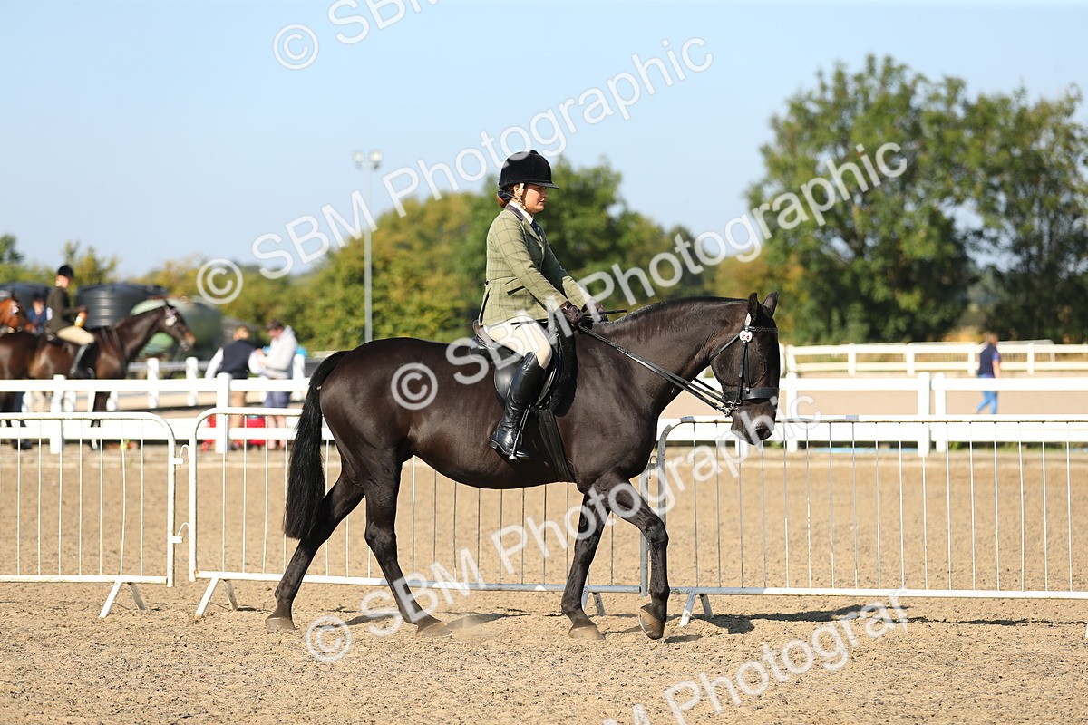 SBM_02167 - Class 43 Ridden Competition Horse/Pony