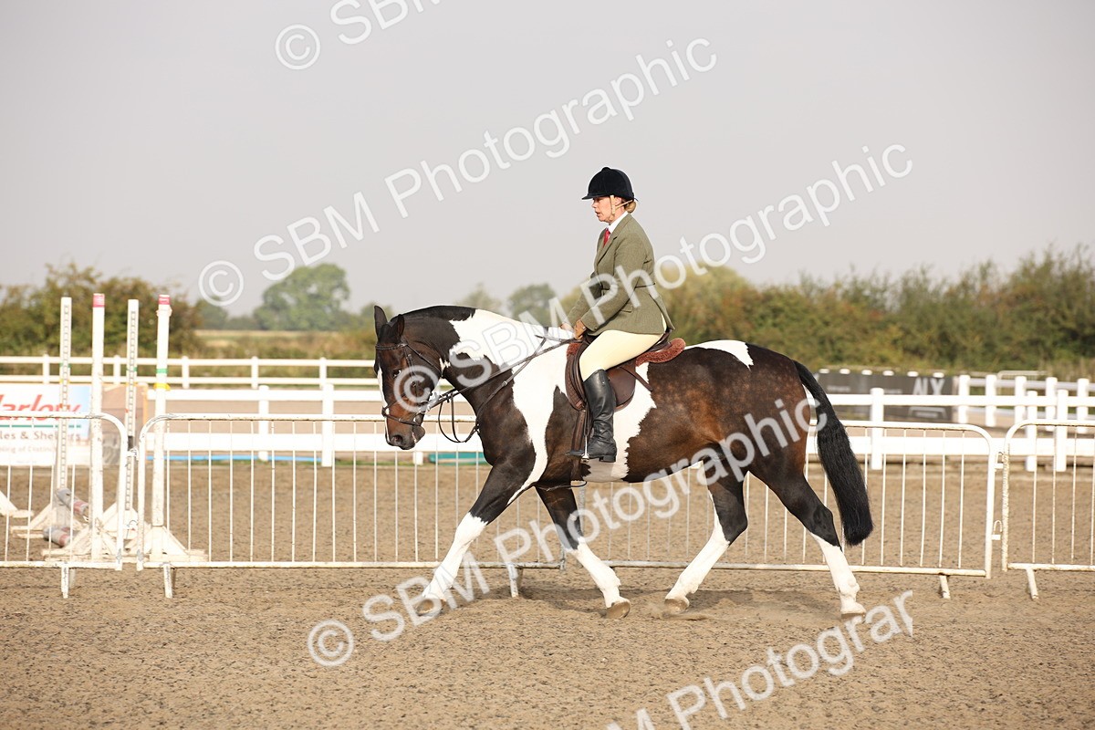 SBM_10241 - Class 402 Riding Club Horse