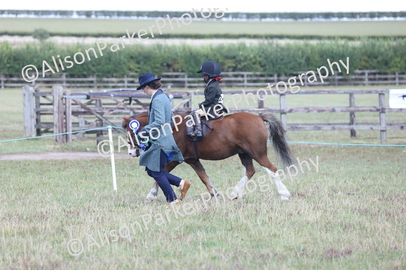 20250831-2879 - Class 18 - Childs First Pony