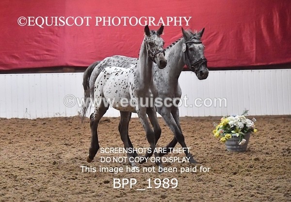 BPP_1989 - AFTERNOON 12.30 - 3.30PM