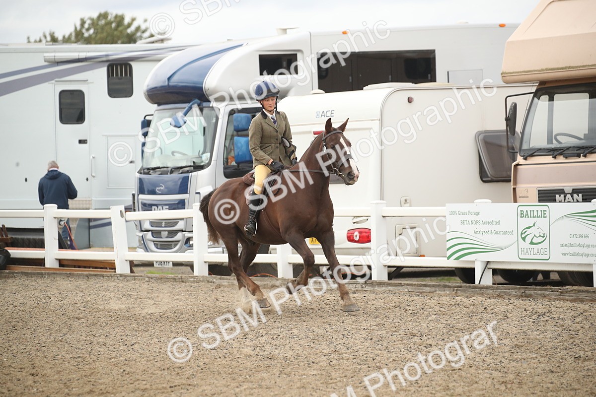 SBM_17965 - Class 508b - Working Veteran 70cm (20+)