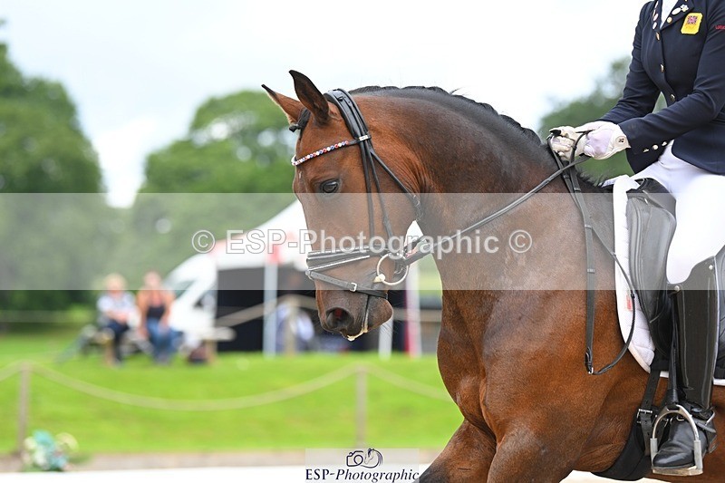 230813-103838-06381 - Cls 12 Elem Silver 10.35 to End