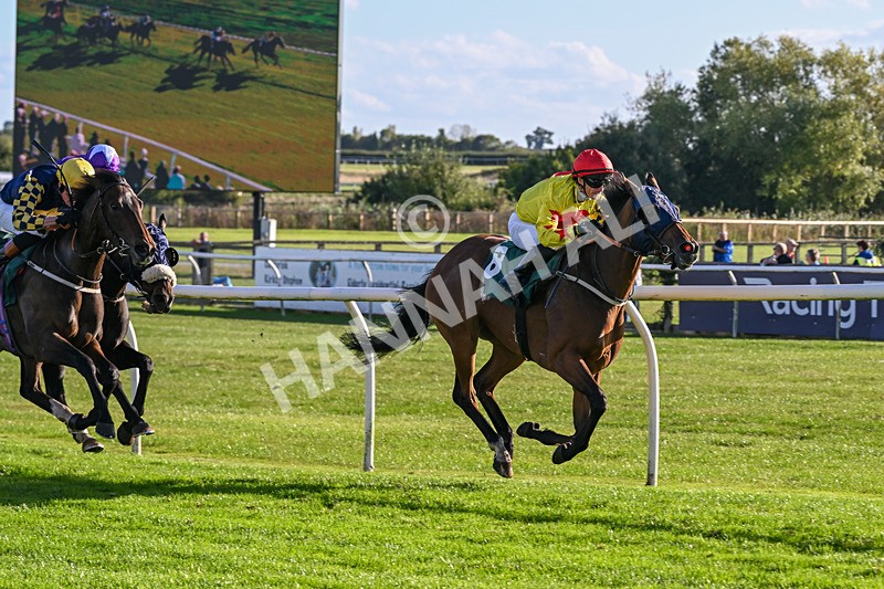 300926-Race 5-Vince Le Prince-6753 - Race 5 4.15pm Bet At racingtv.com Handicap (Div II)