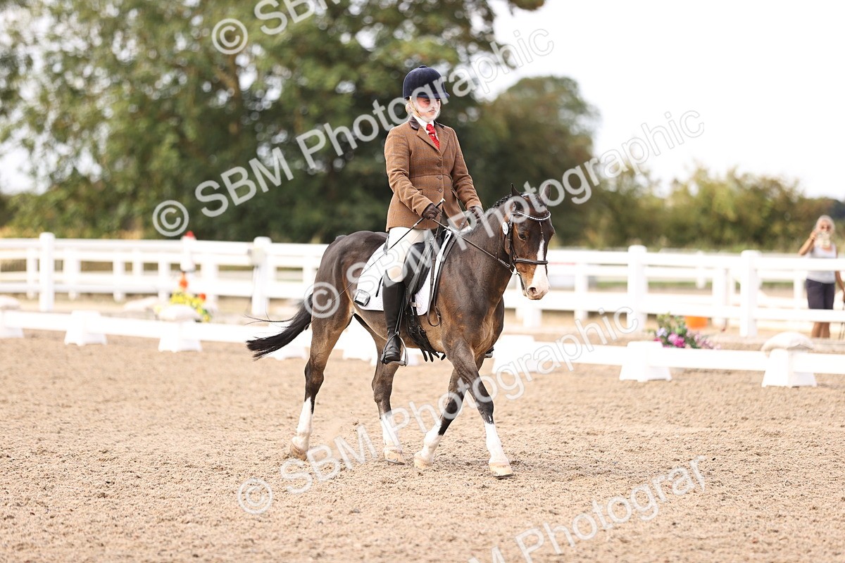 SBM_06046 - Class 37 Novice 5