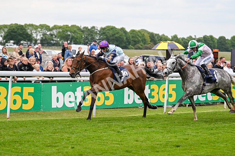 240525-Race 5-Mysteryofthesands-1566 - Race 5