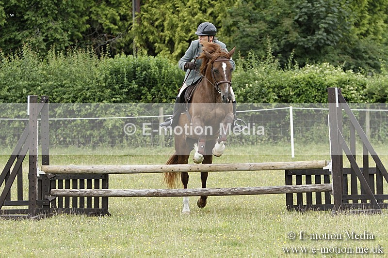 BVR160717-902 - Ring 3 BVRC Show 16/07/17