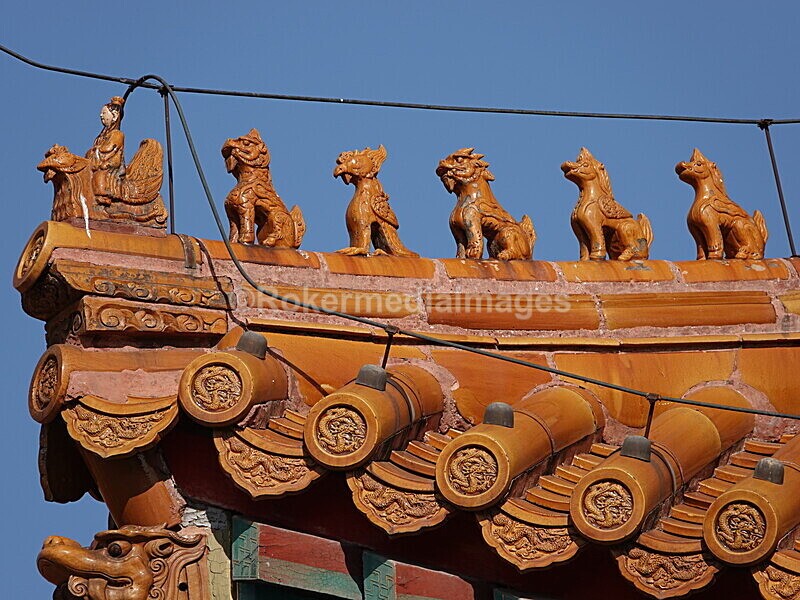 CHINA__1113 - China 2019