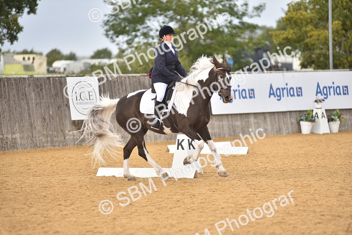 SBM_10104 - D15 - Small Tour Championship Novice 1