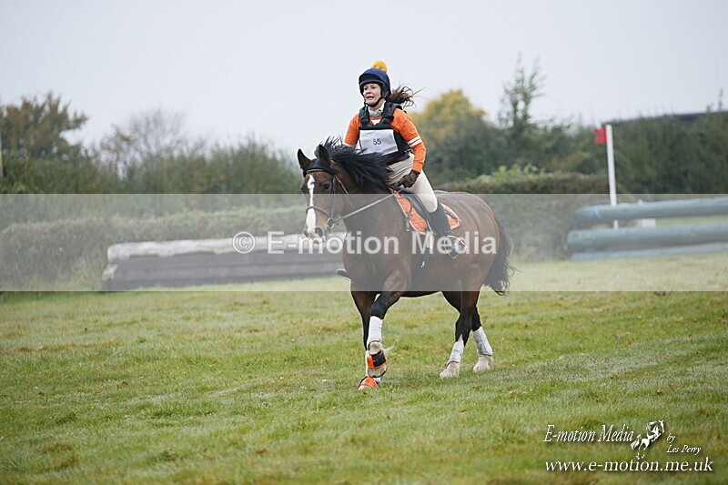 WWHT 181020 WWHT 181020 119 - WWEC Novice Restricted (0.80m) 18/10/20