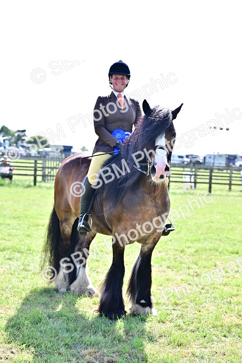 SBM_09503 - Class 63-65 - Traditional Gypsy Cobs In Hand & Ridden