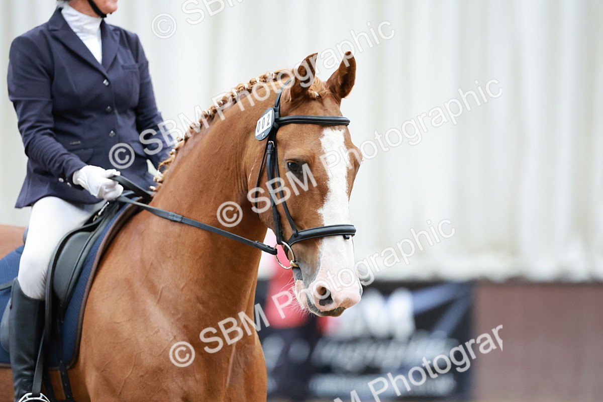 SBM_003386 - Class 4 - Prelim 3