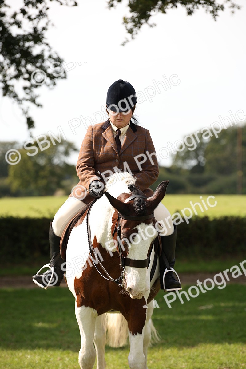 SBM_70111 - S65 - Piebald & Skewbald Horse Ridden