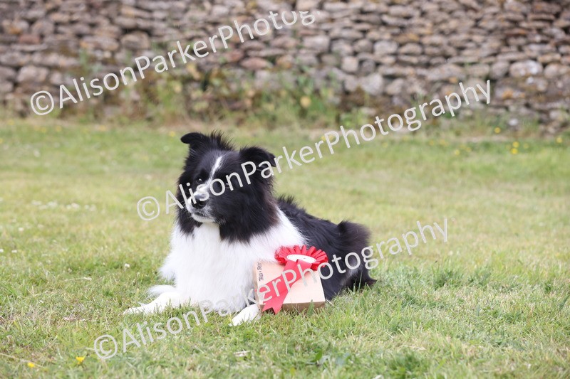 20250607-0254 - Class 5 - Trick and Treat