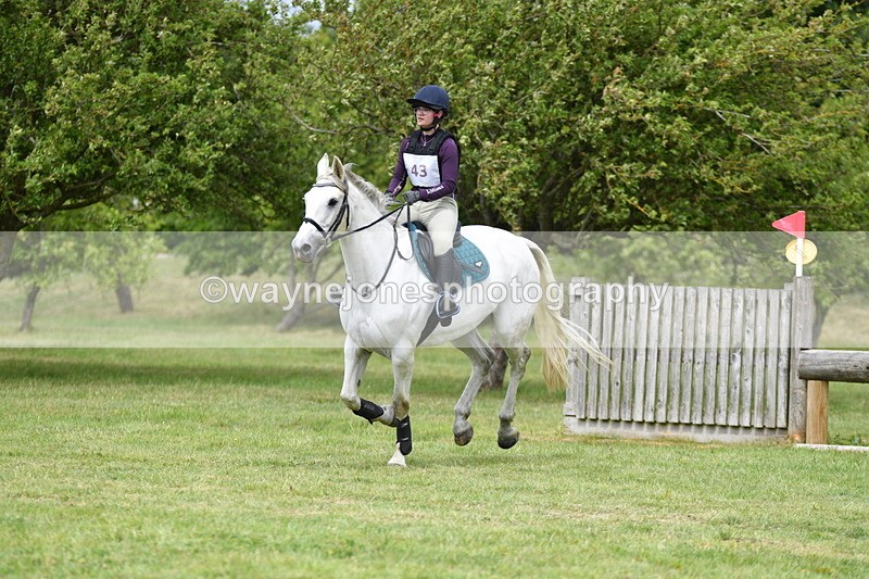 WJ5_3898 - Class 6 80cm