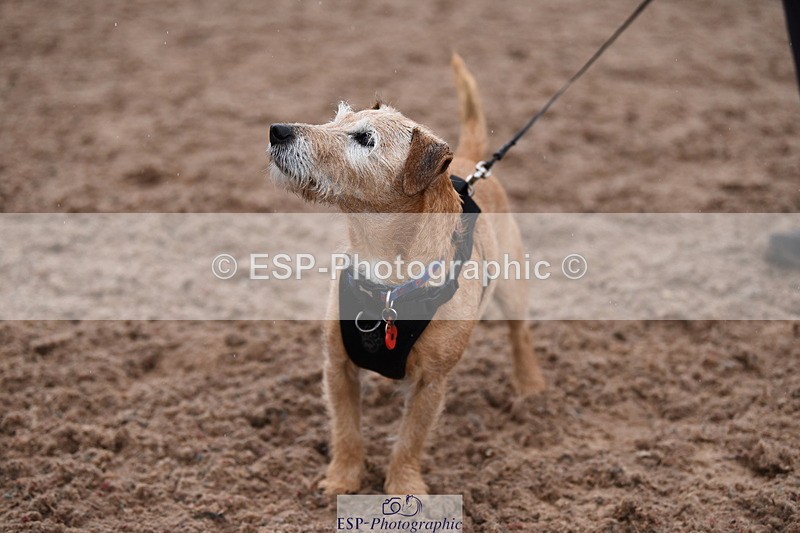 240518A-130236-01252 - Cls 6 Best Veteran